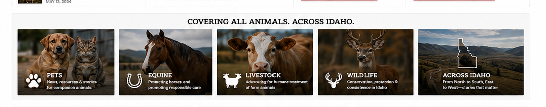 Covering all animals across Idaho: pets, equine, livestock, wildlife, and statewide stories